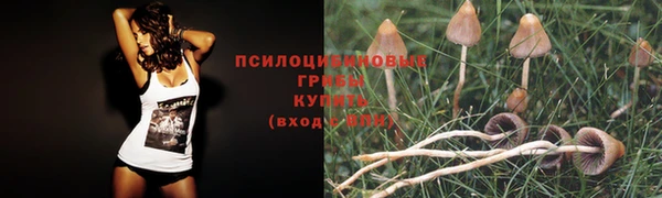 прущие крисы Дмитриев