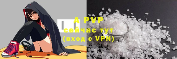 прущие грибы Ельня