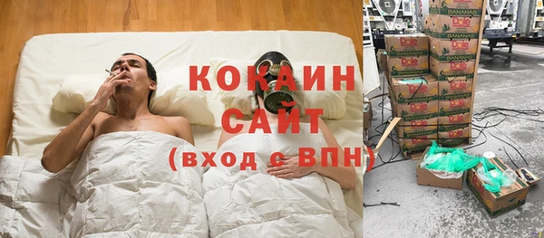 прущие крисы Дмитриев
