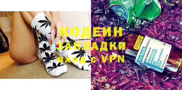 прущие грибы Ельня