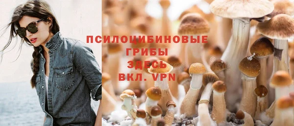 хмурый Дмитровск