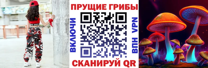 Купить где  Первомайск  Галлюциногенные грибы мицелий 